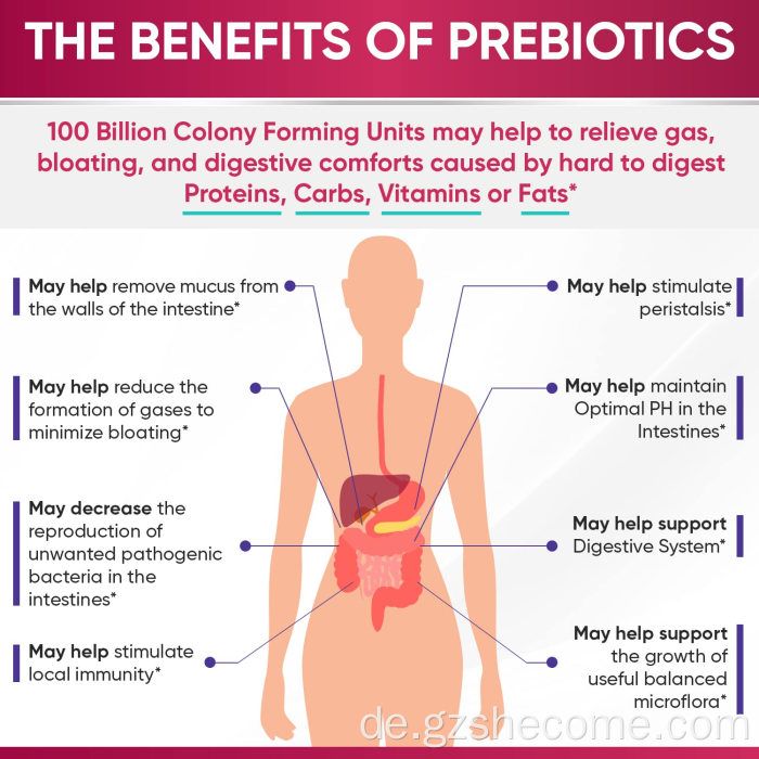 Probiotics Supplement Support DIVIGUVE GESUNDHEIT FUMPUMTIONIERUNG